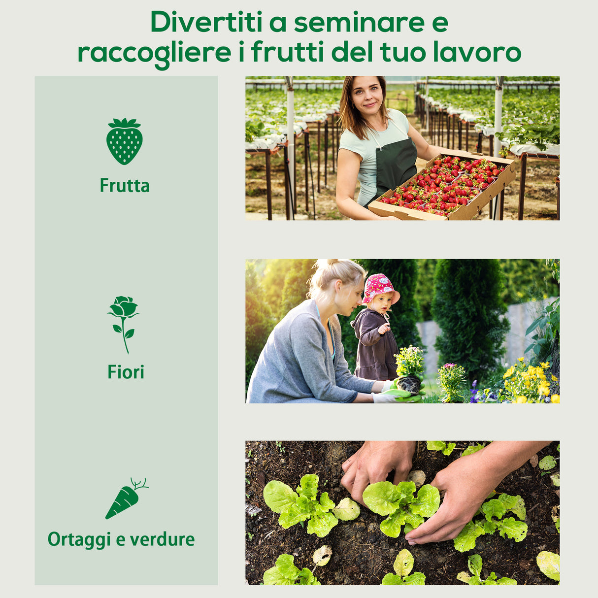 easycomfort serra da giardino in pe e acciaio con 4 picchetti 2 finestre e copertura rinforzata 200x77x148 169cm