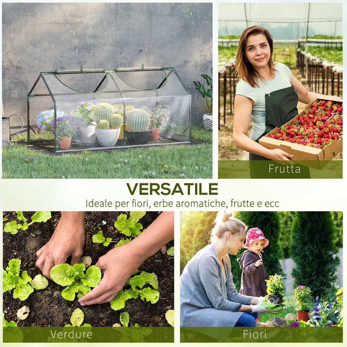 easycomfort mini serra da giardino con 2 finestre avvolgibili e copertura pvc anti uv 119x60x60cm trasparente