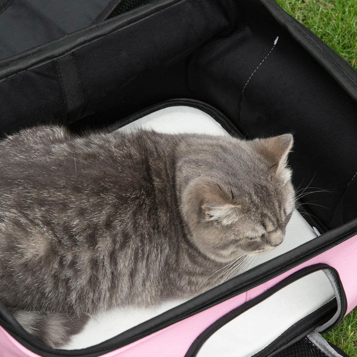 easycomfort borsa trasportino per cani e gatti con 2 porte a cerniera 50x35x36cm rosa