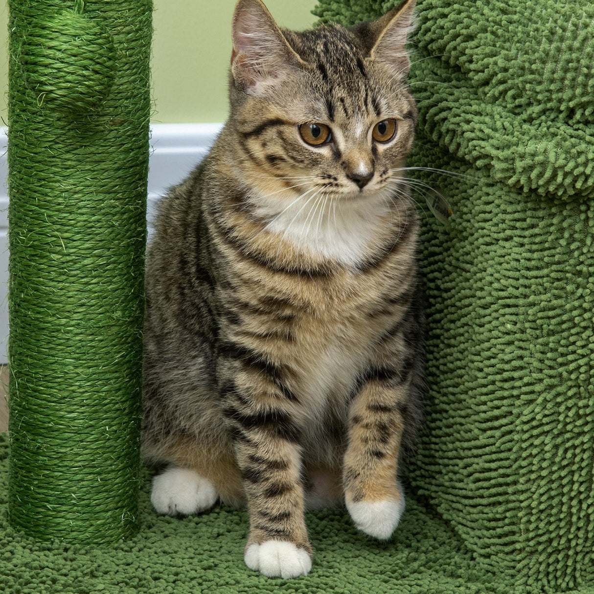 easycomfort tiragraffi per gatti con lettino casetta e palo in sisal a forma di cactus 68x30x67cm verde