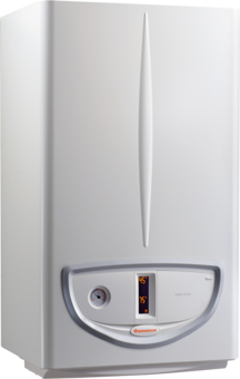 caldaia immergas camera aperta nike eco 24 metano low nox 3.028476 novita