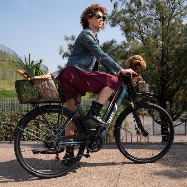 electric bike nilox 30nxebclv1 cargo light 36v 10ah 28x1.75p 38576