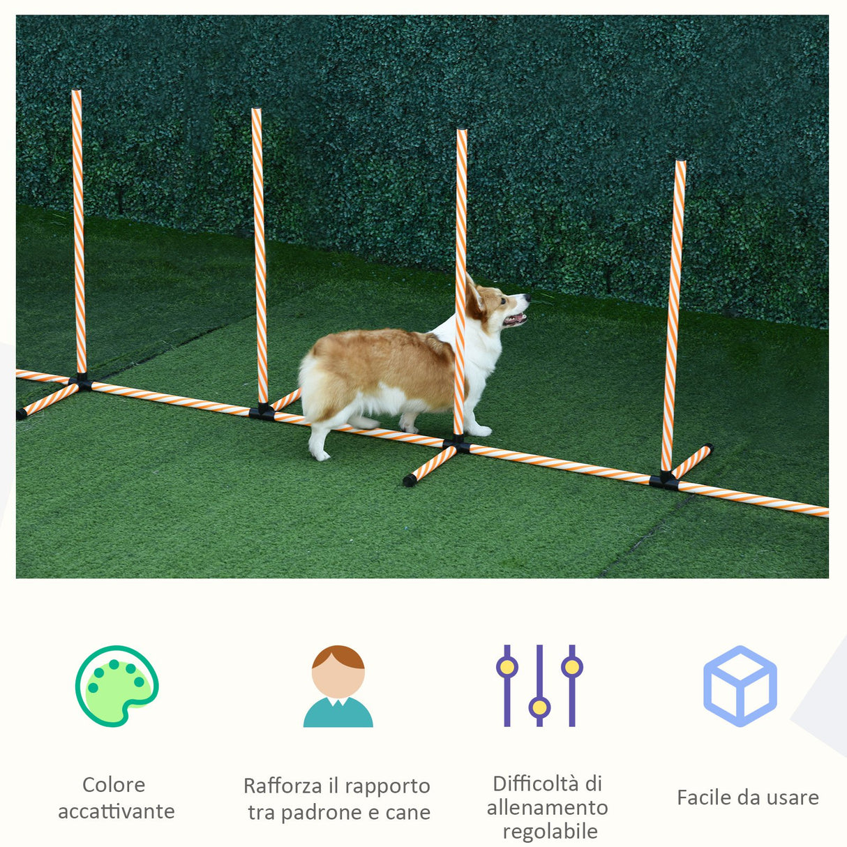 immagine-7-easycomfort-easycomfort-set-agility-dog-per-addestramento-cani-con-slalom-ostacoli-regolabili-fischietto-e-sacca-di-trasporto