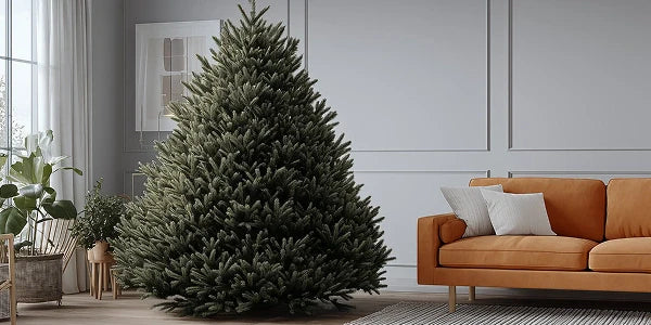 Alberi di Natale Classici