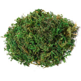 easycomfort easycomfort albero baniano artificiale pianta finta interno ed esterno alta 145cm