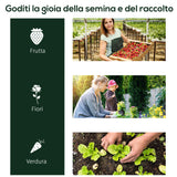 easycomfort serra da giardino a tunnel in acciaio e con copertura in pvc 200x100x80 cm trasparente e verde