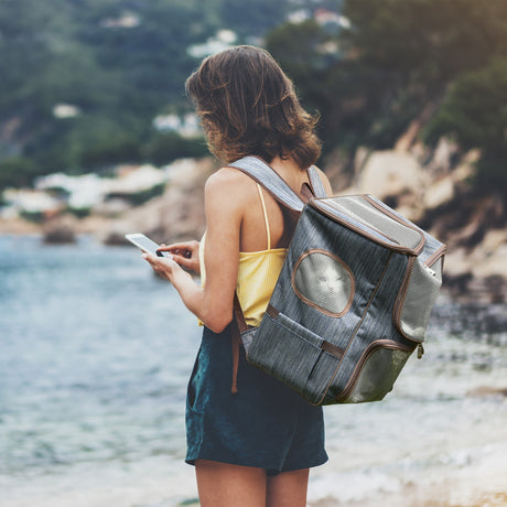 easycomfort zaino trasportino per cani e gatti in oxford cuscino rimovibile e lavabile con rete traspirante 35x28.5x45cm blu