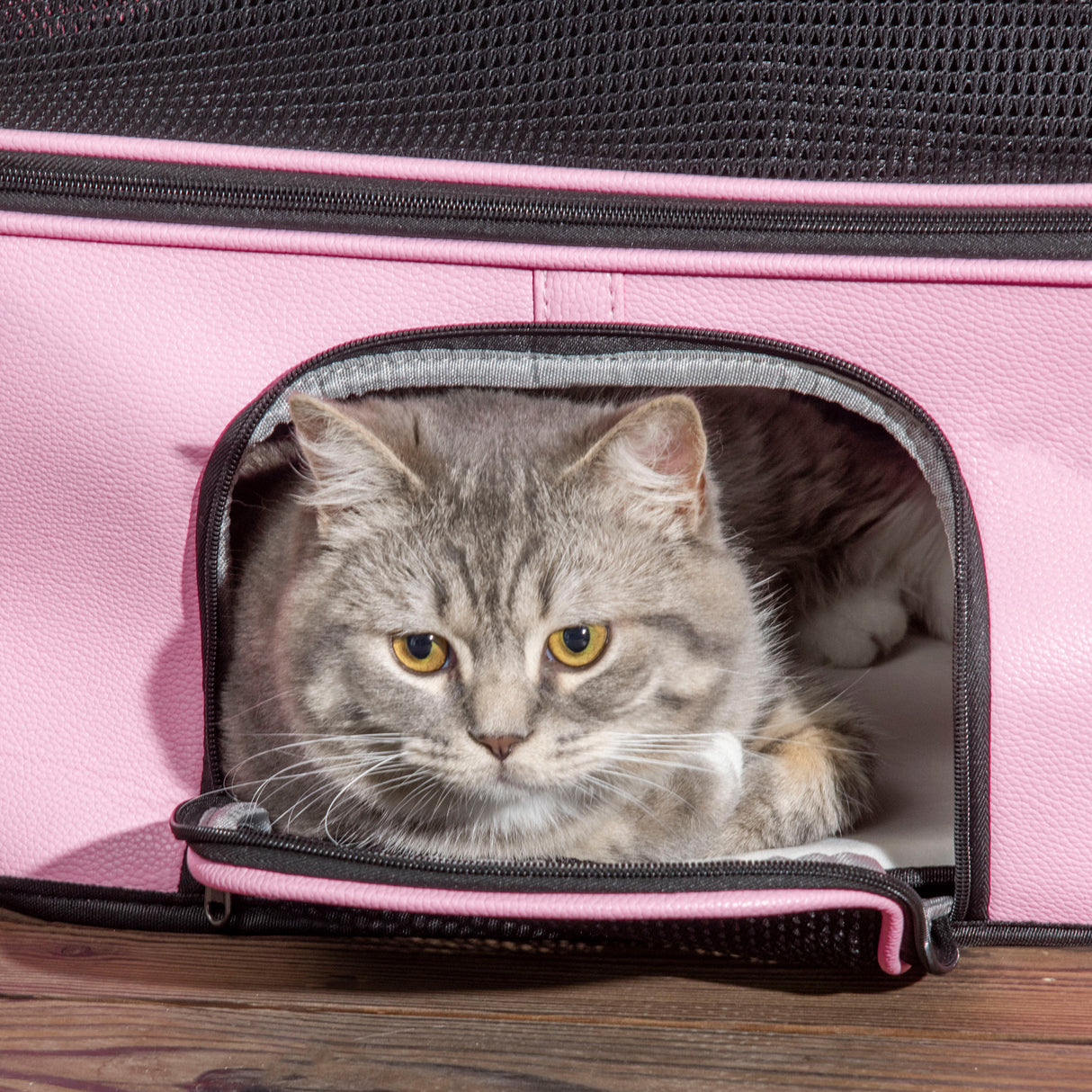 easycomfort borsa trasportino per cani e gatti con 2 porte a cerniera 50x35x36cm rosa
