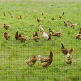 easycomfort rete metallica da giardino con rivestimento in pvc per recinzioni da esterno 500x91cm verde