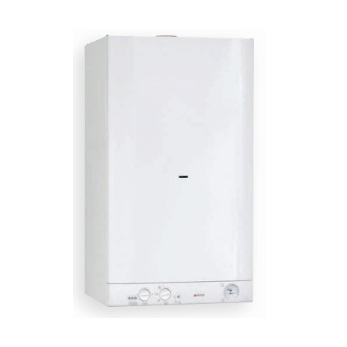 caldaia a gas biasi basica e 28a gpl a camera aperta erp