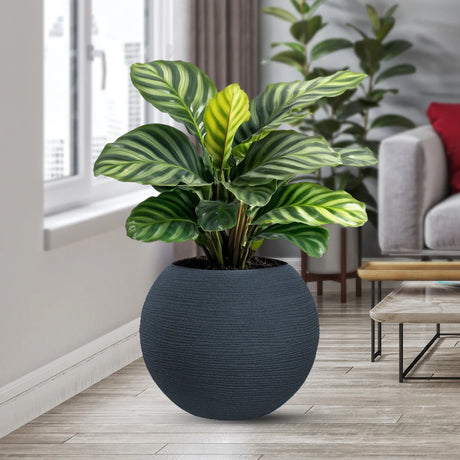 divina garden vaso in resina da esterno interno per piante tondo a sfera di design d 40x33h botticelli grigio ean 8056157808954