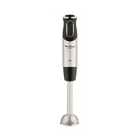 mixer ad immersione inox 1000w