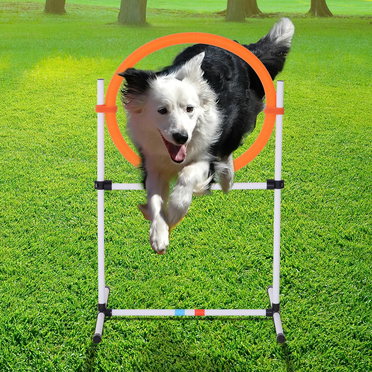 immagine-2-easycomfort-easycomfort-set-agility-dog-portatile-con-anello-e-sbarra-multiuso-e-salvaspazio-con-borsa-da-trasporto-inclusa-74-5x66x91cm-bianco-e-arancione