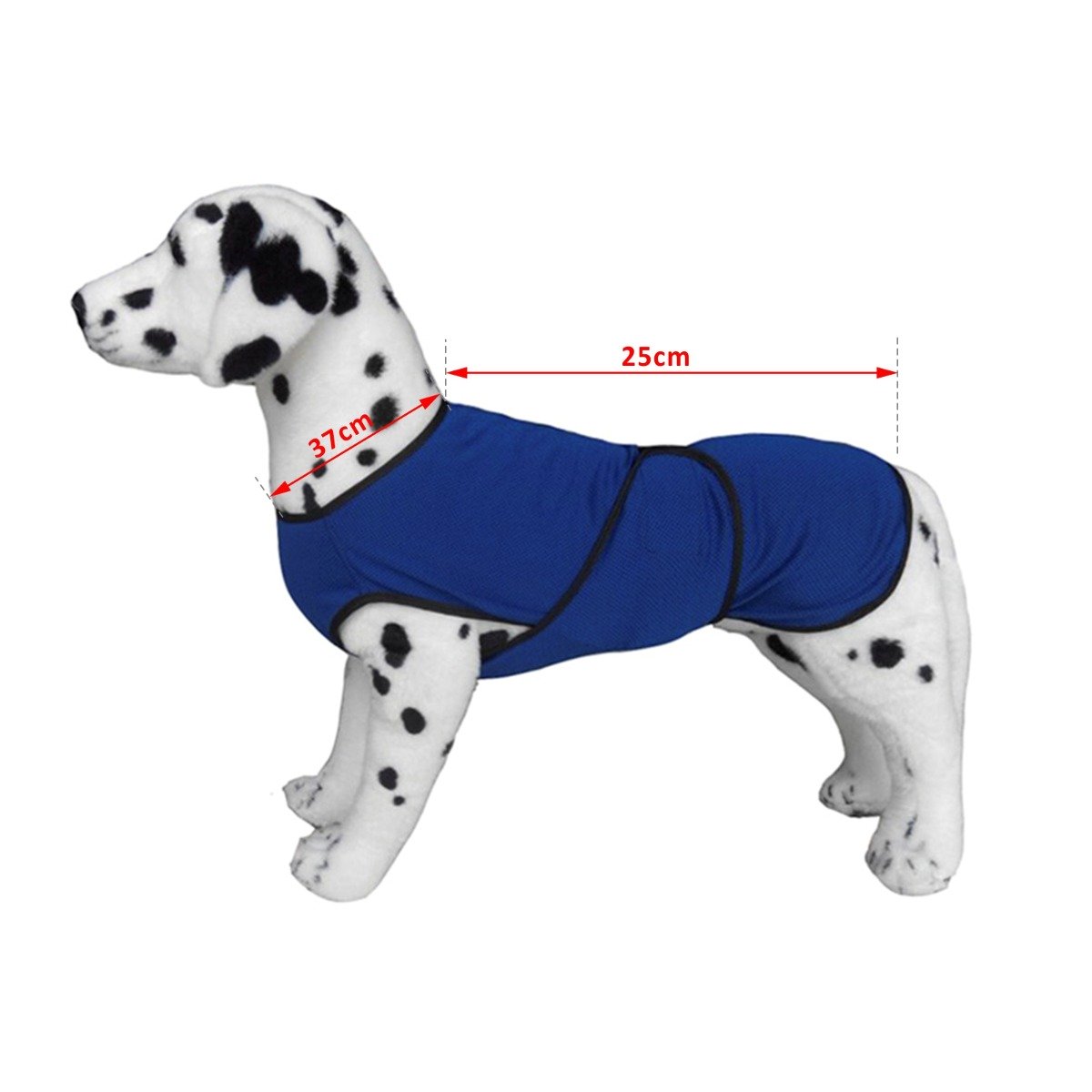 immagine-4-easycomfort-easycomfort-pettorina-refrigerante-per-cani-di-taglia-xs-in-microfibra-traspirante-blu-ean-8054111840187