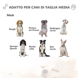 immagine-8-easycomfort-easycomfort-casetta-per-cani-da-esterno-con-porta-e-terrazza-cuccia-per-cani-di-taglia-media-tetto-apribile-e-finestra-grigio