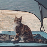 immagine-9-easycomfort-easycomfort-brandina-pieghevole-per-cani-con-tettuccio-da-esterno-o-interrno-grigio